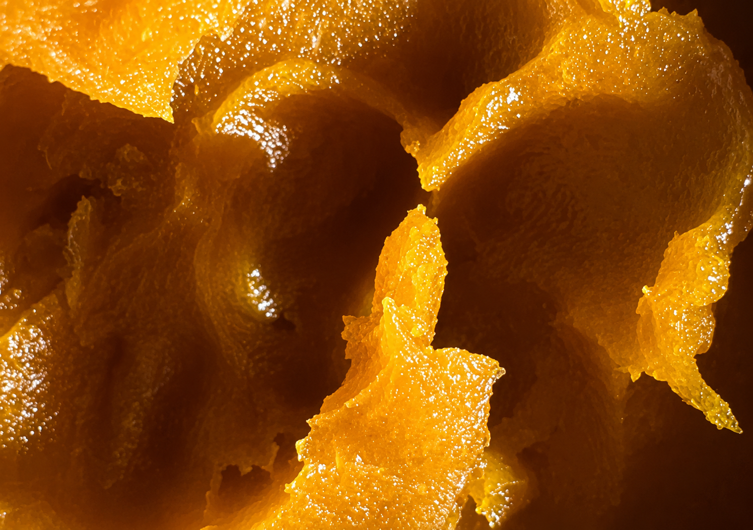 Arctic berries paste — high quality botanical formula